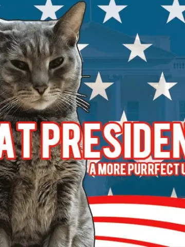 cat president game