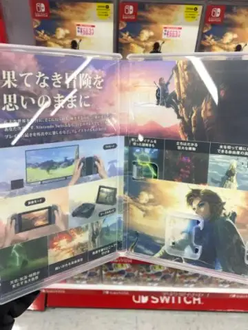 switch game cases